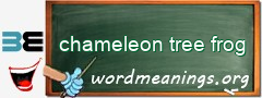 WordMeaning blackboard for chameleon tree frog